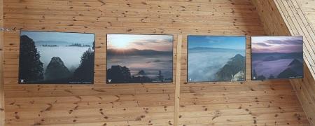 Włodzimierz Stachoń - Spotkanie z przyrodą Włodzimierz Stachoń - Spotkanie z przyrodą