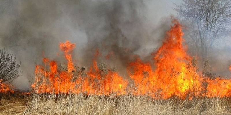 Zadbajmy o bezpieczeństwo - nie wypalajmy traw Zadbajmy o bezpieczeństwo - nie wypalajmy traw