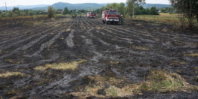 Pożar łąk i ściernisk w Pagórku Pożar łąk i ściernisk w Pagórku