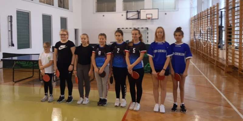 GMINNY TURNIEJ TENISA STOŁOWEGO GMINNY TURNIEJ TENISA STOŁOWEGO