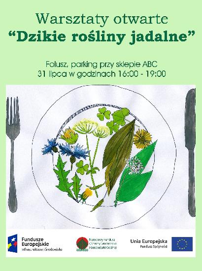 Warsztaty otwarte&nbsp;„Dzikie rośliny jadalne”