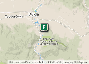 Mapa - Beskid Niski i Pogórze