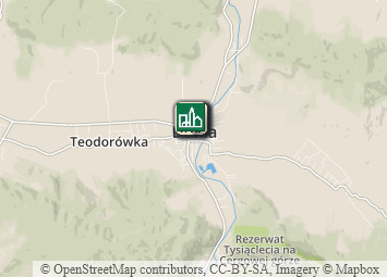 Mapa - Beskid Niski i Pogórze