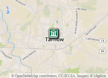 Mapa - Beskid Niski i Pogórze